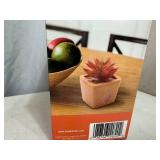 New Zendozones Fruit Fly Trap New Zendozones Fruit Fly Trap