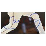 Cal Ripken Jr. Autographed 8x10" Baseball Photo