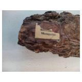 Wooden Plane, Carved Candle Holder & Mosquito Wooden Plane, Carved Candle Holder & Mosquito