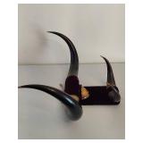 Mounted Bull Horns Mounted Bull Horns