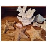 Lot of Shells, Starfish & Beach Decor Lot of Shells, Starfish & Beach Decor