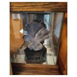 Lot of Shells, Starfish & Beach Decor Lot of Shells, Starfish & Beach Decor