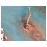 Department 56 'Mill Creek Pond' Department 56 'Mill Creek Pond'