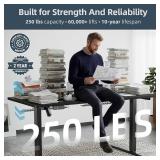 DeskShow Electric Standing Adjustable Desk DeskShow Electric Standing Adjustable Desk