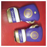 Omni Boxing Gloves