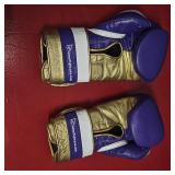 Omni Boxing Gloves