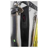 Lifting Belts
