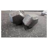 8lb. Dumbell Set