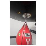 Title Speed Bag
