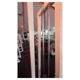 Infinity Fitness Low Pulley