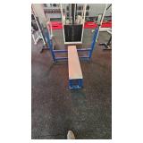 Infinity Fixed Flat Bench