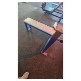 Infinity Fixed Flat Bench