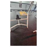 Cybex Fixed Incline Bench