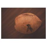 Hand-Painted Harley Davidson Souvenir Coconut from Hawaii 2011