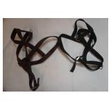 Large Pet Harnesses (2ct)