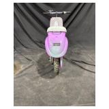 Razor Electric Scooter