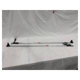 Salomon Siam Ski Poles