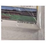 Unopened Gold Winner Pack 1992 Topps Unopened Gold Winner Pack 1992 Topps