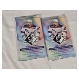 Lot of 2 Unopened Packs 2020-21 SP Lot of 2 Unopened Packs 2020-21 SP