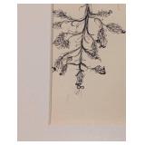 LL - Framed Print 17 x 21 in - Plant Motif Figure Illustration LL - Framed Print 17 x 21 in - Plant Motif Figure Illustration