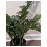 LL - ZZ Plant - Faux Indoor Plant in Black Ribbed Pot, 22 in Tall LL - ZZ Plant - Faux Indoor Plant in Black Ribbed Pot, 22 in Tall