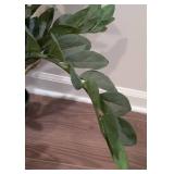 LL - ZZ Plant - Faux Indoor Plant in Black Ribbed Pot, 22 in Tall LL - ZZ Plant - Faux Indoor Plant in Black Ribbed Pot, 22 in Tall