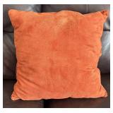LR - Pair of Pretty Orange Accent Pillows LR - Pair of Pretty Orange Accent Pillows