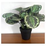 LR - Faux Calathea White Fusion - Variegated Prayer Plant LR - Faux Calathea White Fusion - Variegated Prayer Plant