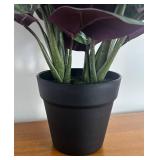 LR - Faux Calathea White Fusion - Variegated Prayer Plant LR - Faux Calathea White Fusion - Variegated Prayer Plant