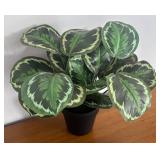LR - Faux Calathea White Fusion - Variegated Prayer Plant LR - Faux Calathea White Fusion - Variegated Prayer Plant