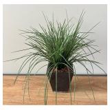 BR1 - Artificial Plant Trio - Faux Greenery BR1 - Artificial Plant Trio - Faux Greenery