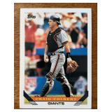 K - Baseball Card Lot - Randy Ready; Craig Colbert; Cal Ripken Jr.; Barry Bonds; Nomar Garciaparra; Mike Piazza K - Baseball Card Lot - Randy Ready; Craig Colbert; Cal Ripken Jr.; Barry Bonds; Nomar Garciaparra; Mike Piazza