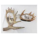 Elk Antler Wall Art - Wolf Diorama Pair