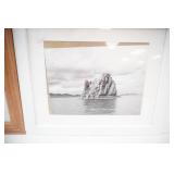 Metallic Art Prints-Geese & Ducks, Framed Photo Prints