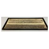 1949 Camp Chaffee Panaramic Military Photos Framed Behind Glass 11' x 25'