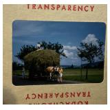 Misc. Vintage Slides In Mid Century Slide Case