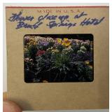 Misc. Vintage Slides Including 1950's & more