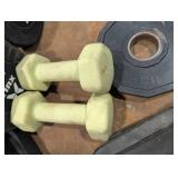 Iron Grip & Hampton Weight Plates with Barbell & Dumbbells - Home Gym Set Iron Grip & Hampton Weight Plates with Barbell & Dumbbells - Home Gym Set