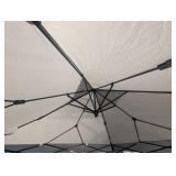 EZUp 13' x 13' Canopy with Carry Bag EZUp 13' x 13' Canopy with Carry Bag
