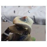 Vintage Texas Armadillo Mascot Drinking Lone Star Beer theme Chalkware Statue Vintage Texas Armadillo Mascot Drinking Lone Star Beer theme Chalkware Statue