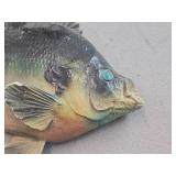 Vintage Sunfish theme Carnival Chalkware Sign / Grain Belt Beer logo Vintage Sunfish theme Carnival Chalkware Sign / Grain Belt Beer logo