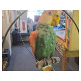 Vintage Parrot on a Branch theme Carnival Chalkware Figurine on a Bronze Colored Stand Vintage Parrot on a Branch theme Carnival Chalkware Figurine on a Bronze Colored Stand