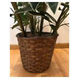 DR - Dieffenbachia Variegated Faux Plant - 33-Inch Tall in Woven Basket