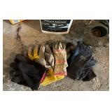 G - Roundup Lawn Weed Killer & Ortho Home Defense Insect Killer with Miracle-Gro Plant Foods