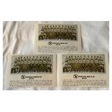 (3) 1979-80 Minnesota North Stars Vintage Hockey Team Post Cards (3) 1979-80 Minnesota North Stars Vintage Hockey Team Post Cards