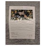 NEW RIFLE PAPER CO. x LOLOI BUTTERFLIES