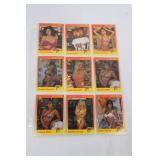 Hooters Trading Cards 1994 - HOOTERS Girls Photo Cards Collection