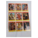 Hooters Trading Cards 1994 - HOOTERS Girls Photo Cards Collection
