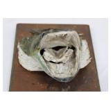 Taxidermy Fish Head Mounted on Wood Plaque Display - Rustic Marine Trophy 10' x 8' x ~5'