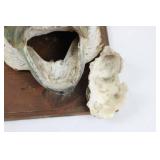 Taxidermy Fish Head Mounted on Wood Plaque Display - Rustic Marine Trophy 10' x 8' x ~5'